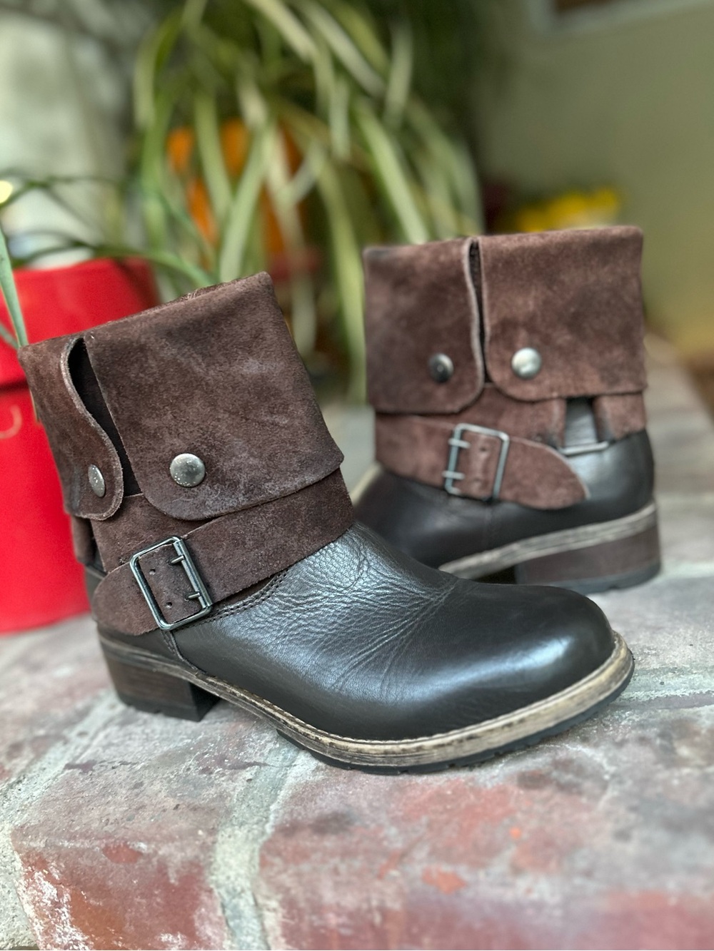 Clarks boots